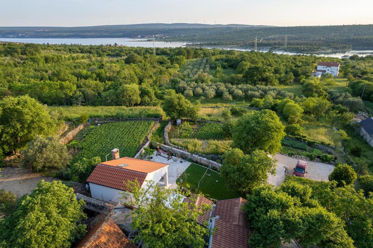 Holiday Home - Villa Thorak Anić Εξωτερικό φωτογραφία